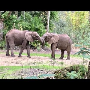 Meet your Posher, Priyanka